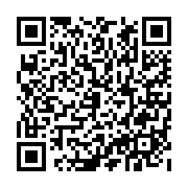 QR e838500