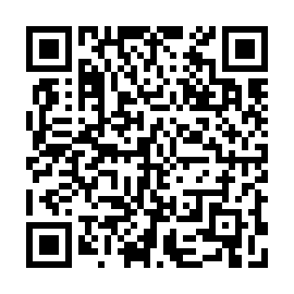 QR e838be9