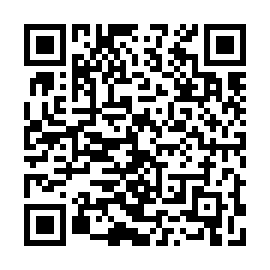 QR e839478