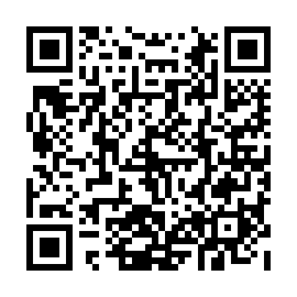 QR e851595