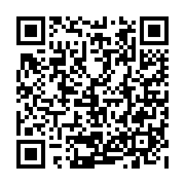 QR e861295