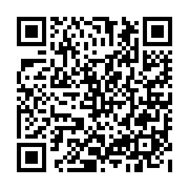 QR e875183