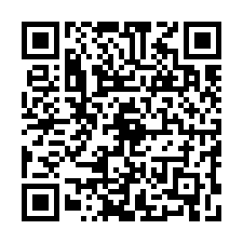 QR e895ede