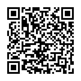 QR e913451