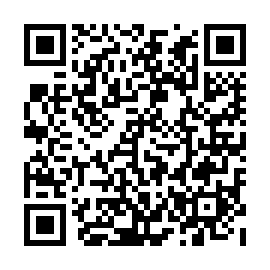 QR e91541b
