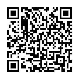 QR e9156e6