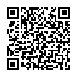 QR e919fb2