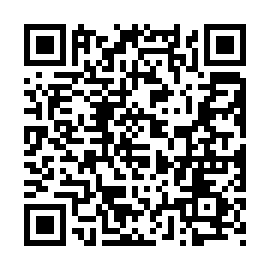 QR e938b87