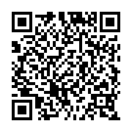 QR e93c3b0