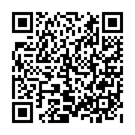 QR e95132c