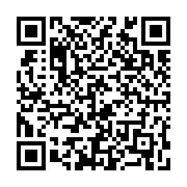 QR e95796b