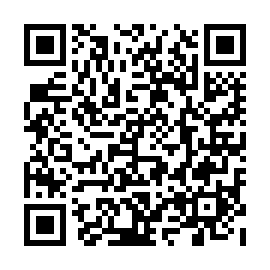 QR e95c2e2