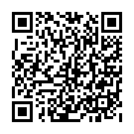 QR e95c919