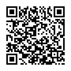 QR e95e65b