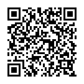 QR e97e295