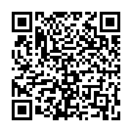 QR e991b4b