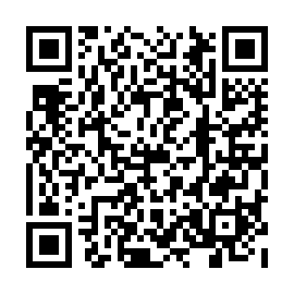 QR eb738a4