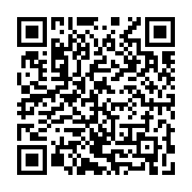 QR ebaa738