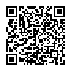 QR ecc1233