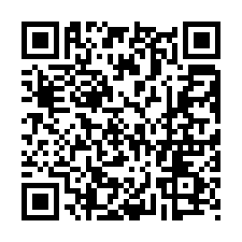 QR f385c95