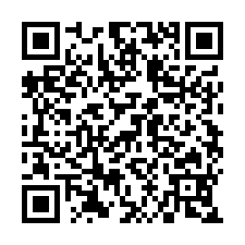 QR f3a3c1b