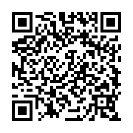 QR f533b24