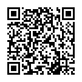 QR f538a63