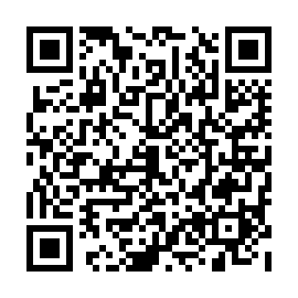 QR f95e3a0