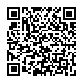 QR fb33e2b