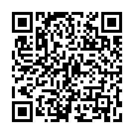 QR fb390a9