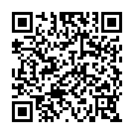 QR fb40c33