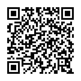 QR fd17387