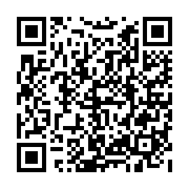 QR fe11385