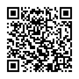 QR fe29e31