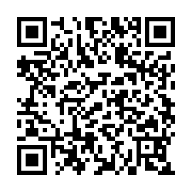 QR fe33c02